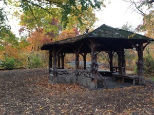 Autumn in Central Park
